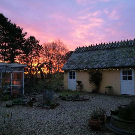 Bella Bed And Breakfast Stevns Arnoje Buitenkant foto