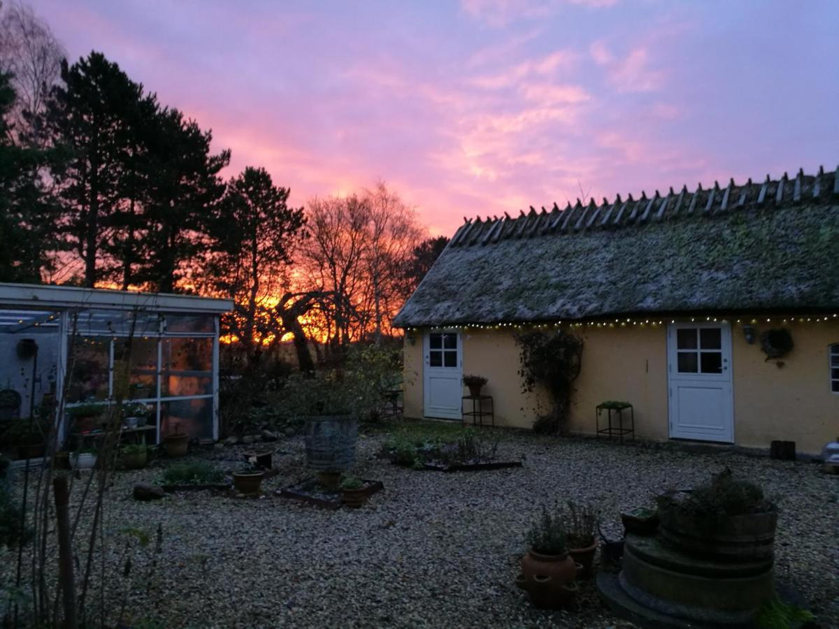 Bella Bed And Breakfast Stevns Arnoje Buitenkant foto