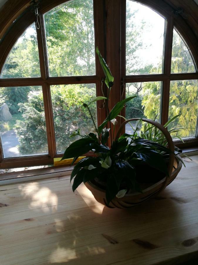 Bella Bed And Breakfast Stevns Arnoje Buitenkant foto