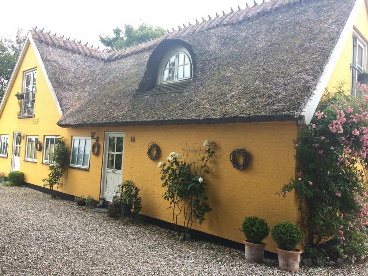 Bella Bed And Breakfast Stevns Arnoje Buitenkant foto